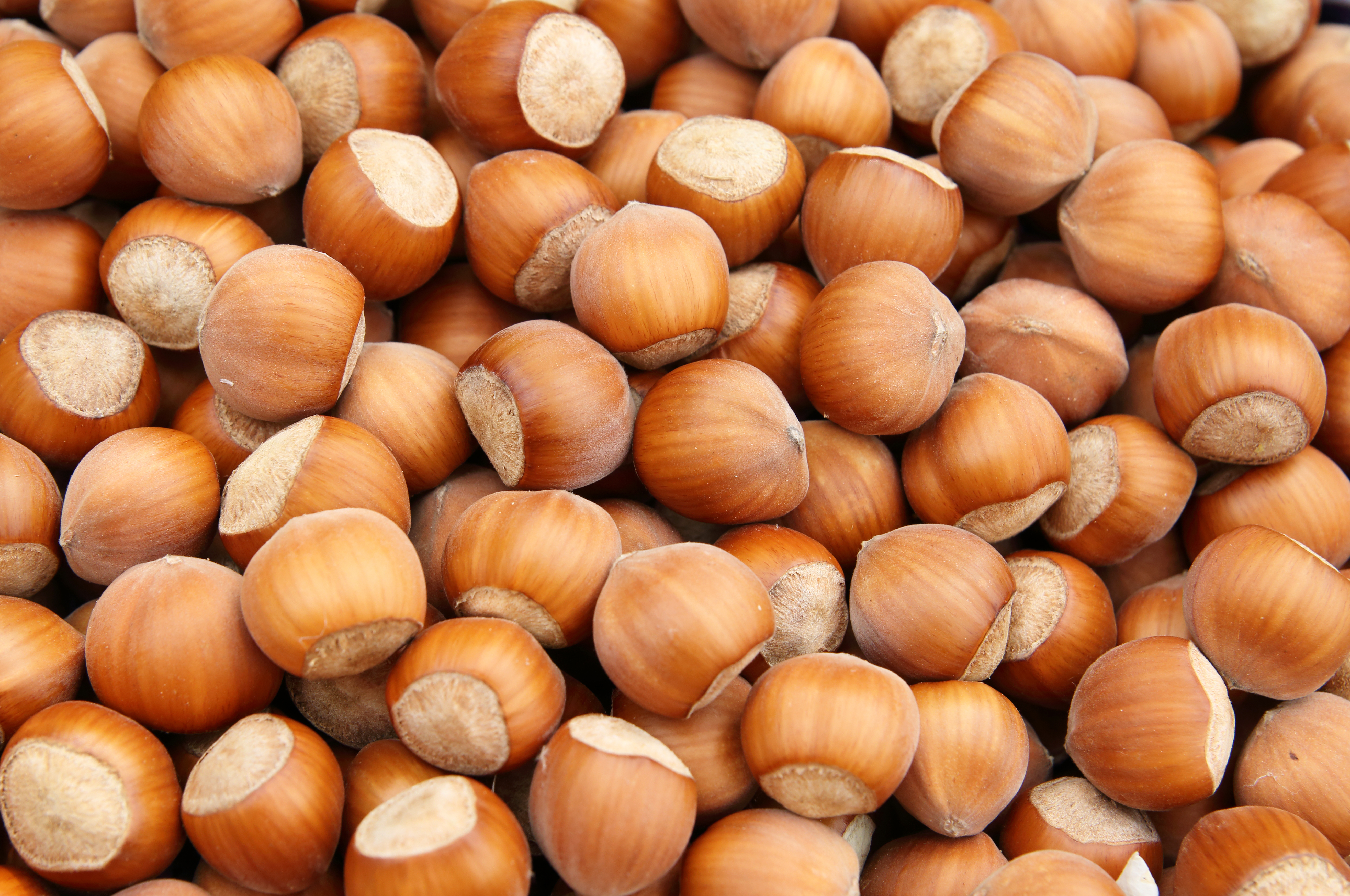Hazelnuts