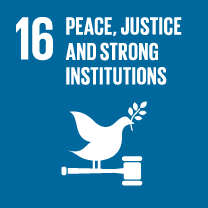 16 Peace, justice and strong institutions 
