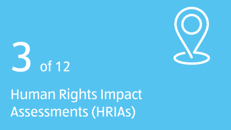 3 of 12 Human Rights Impact Assessments (HRIAs)