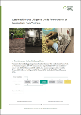 Due Diligence for Purchasers of Cashew Nuts from Vietnam