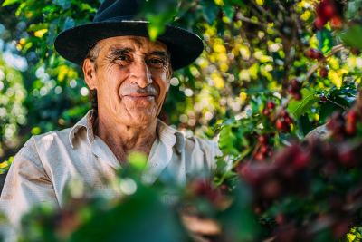 Farmer in coffee field