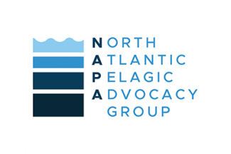 Logo of NAPA