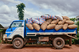 Truck with cocoa beans
