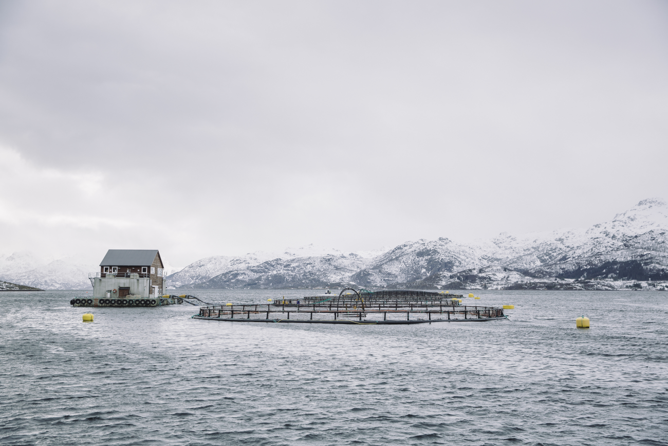 Fish farm on Norwegian coast