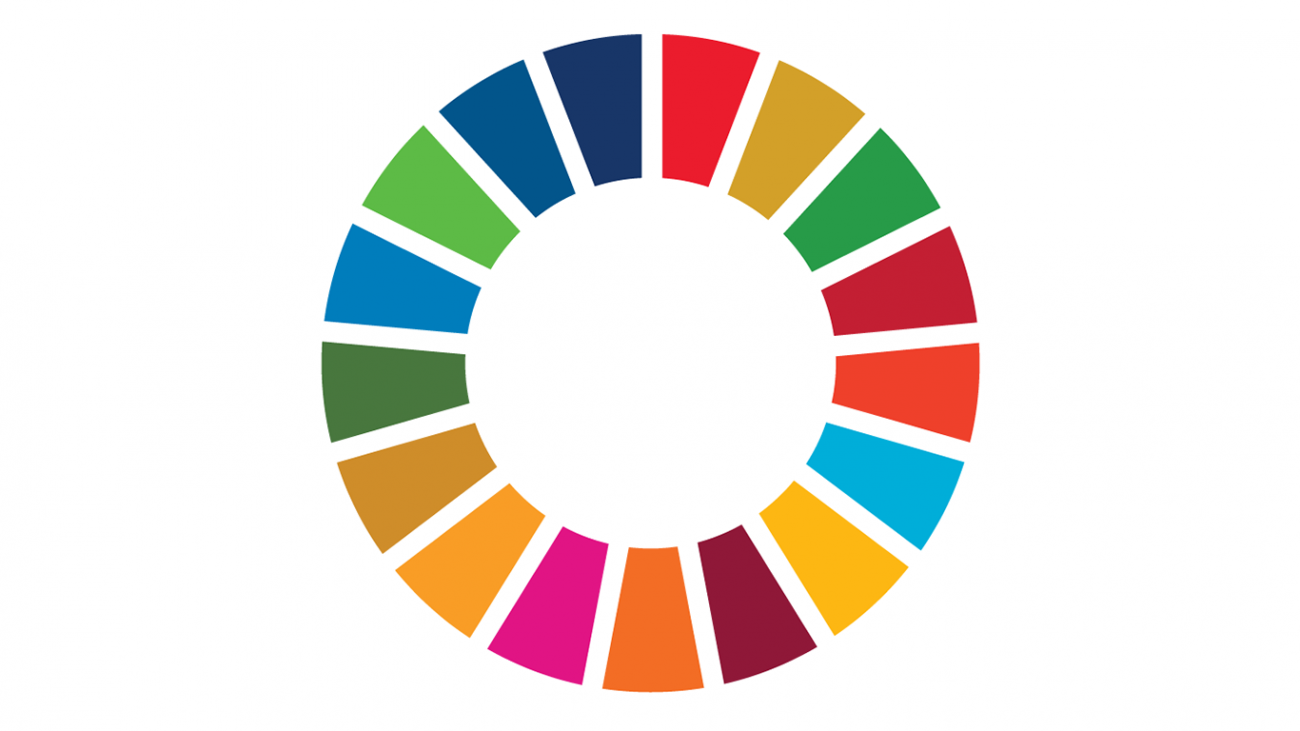 Sustainable Development Wheel