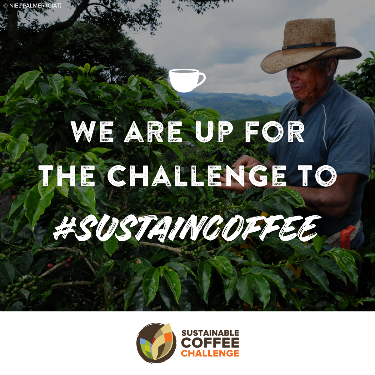 Coffee farmer: We are up for the challenge to #sustaincoffee