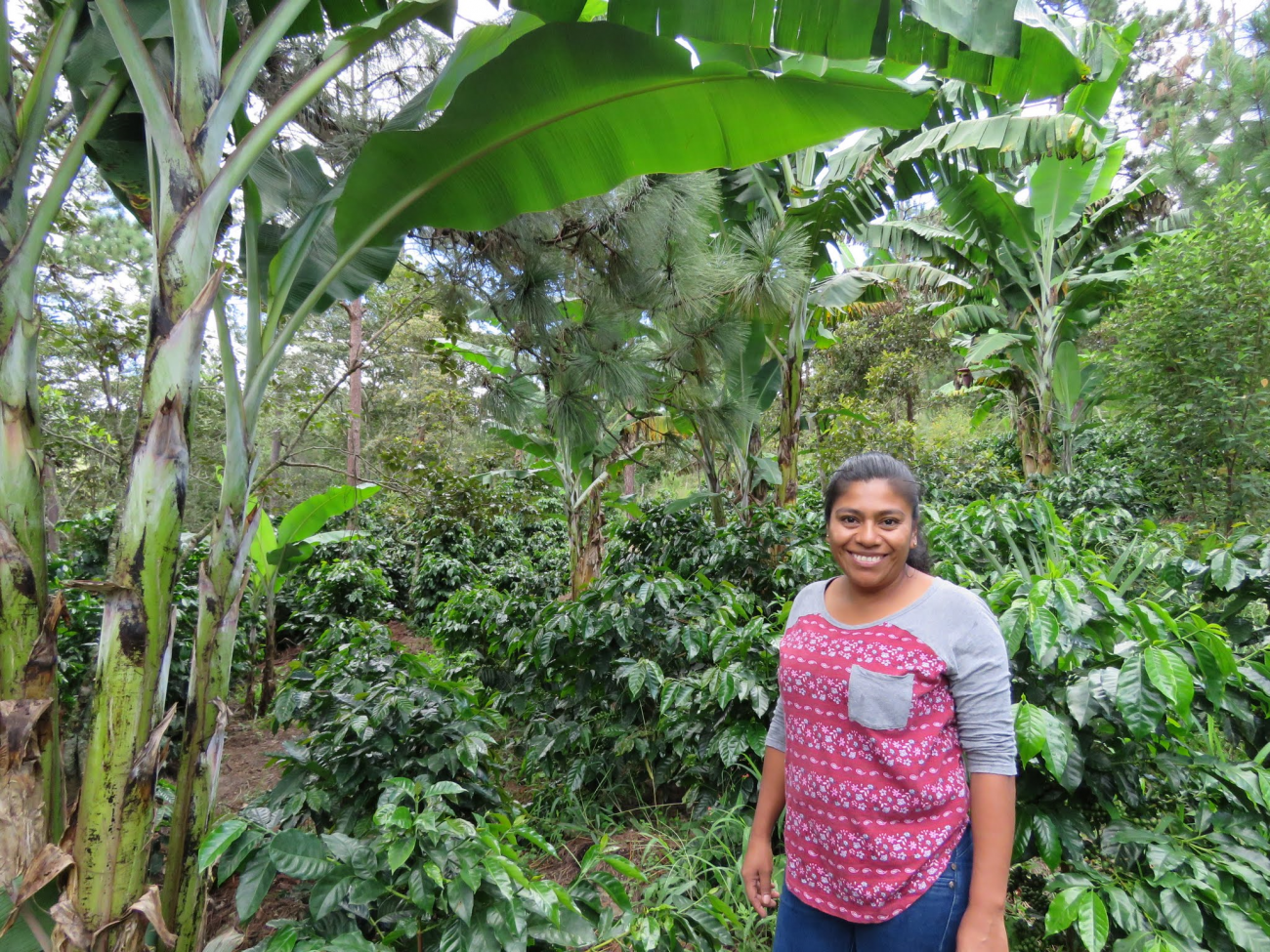Woman standing infront of coffee plants