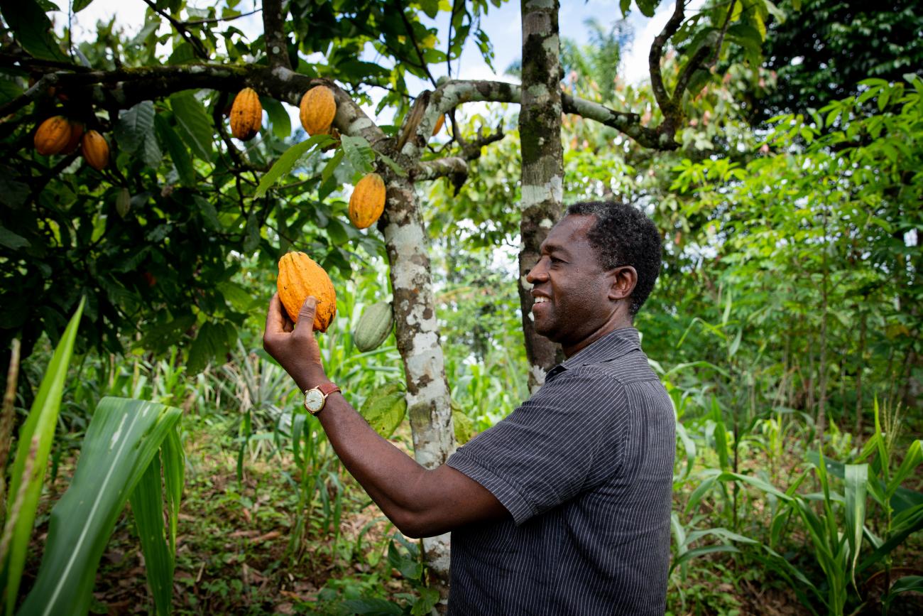 Man holding cocoa fruit