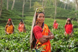 Women standing in tea field
