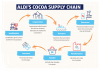 ALDI's Cocoa Supply Chain